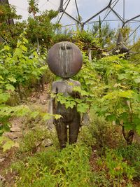 Built structure on field