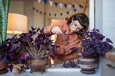 Florist teenager examining houseplant oxalis, tearing away leaves dead of dry air in flat in winter