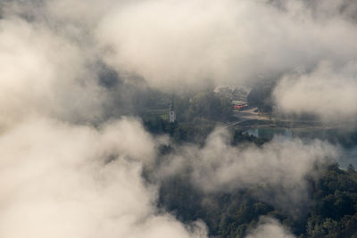 Serial view of smoke against tree