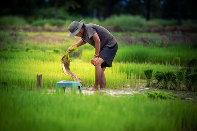 Rear view of man working on field
