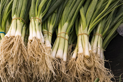 High angle view of vegetables