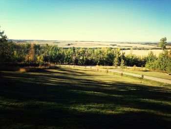 Scenic view of grassy field against clear blue sky