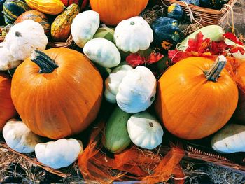 Helloween decoration pumpkin and garlic