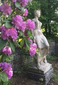 View of statue amidst flowering plants in park