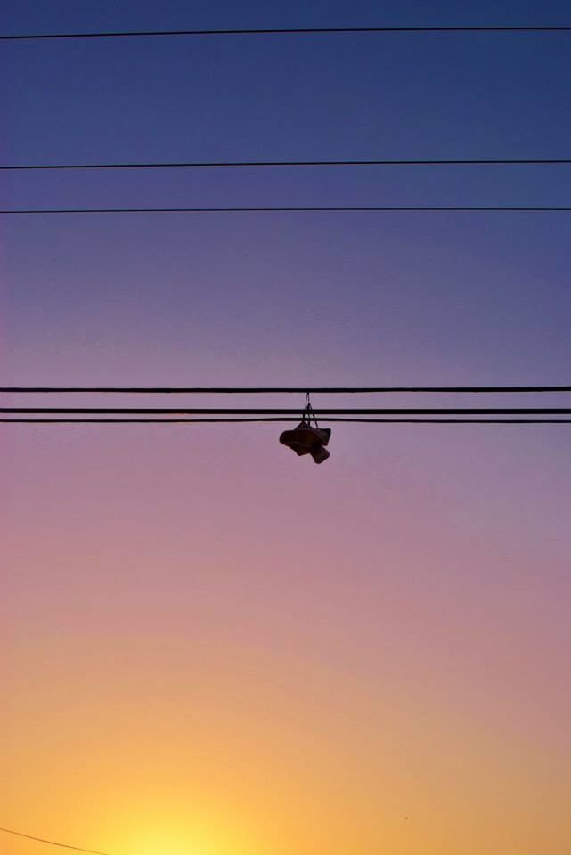 low angle view, clear sky, copy space, silhouette, sunset, cable, power line, one animal, animal themes, transportation, connection, sky, bird, wildlife, nature, electricity, flying, animals in the wild, orange color, outdoors