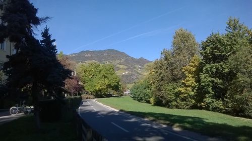 Trees by road against sky