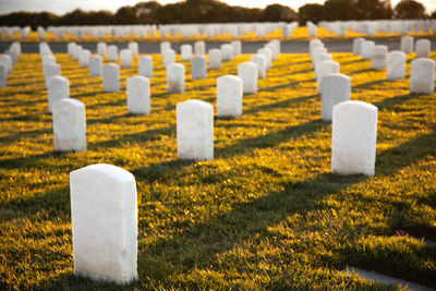 View of cemetery. white headstones in a row