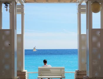 Rear view of a bird on the sea