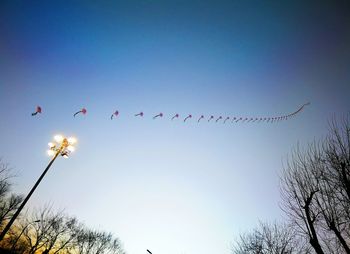 Low angle view of birds flying in sky