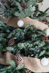 High angle view of christmas tree