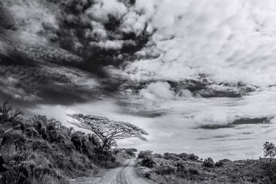 Storm clouds over landscape