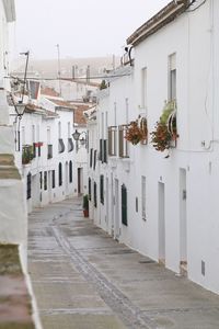 Alley amidst buildings in city