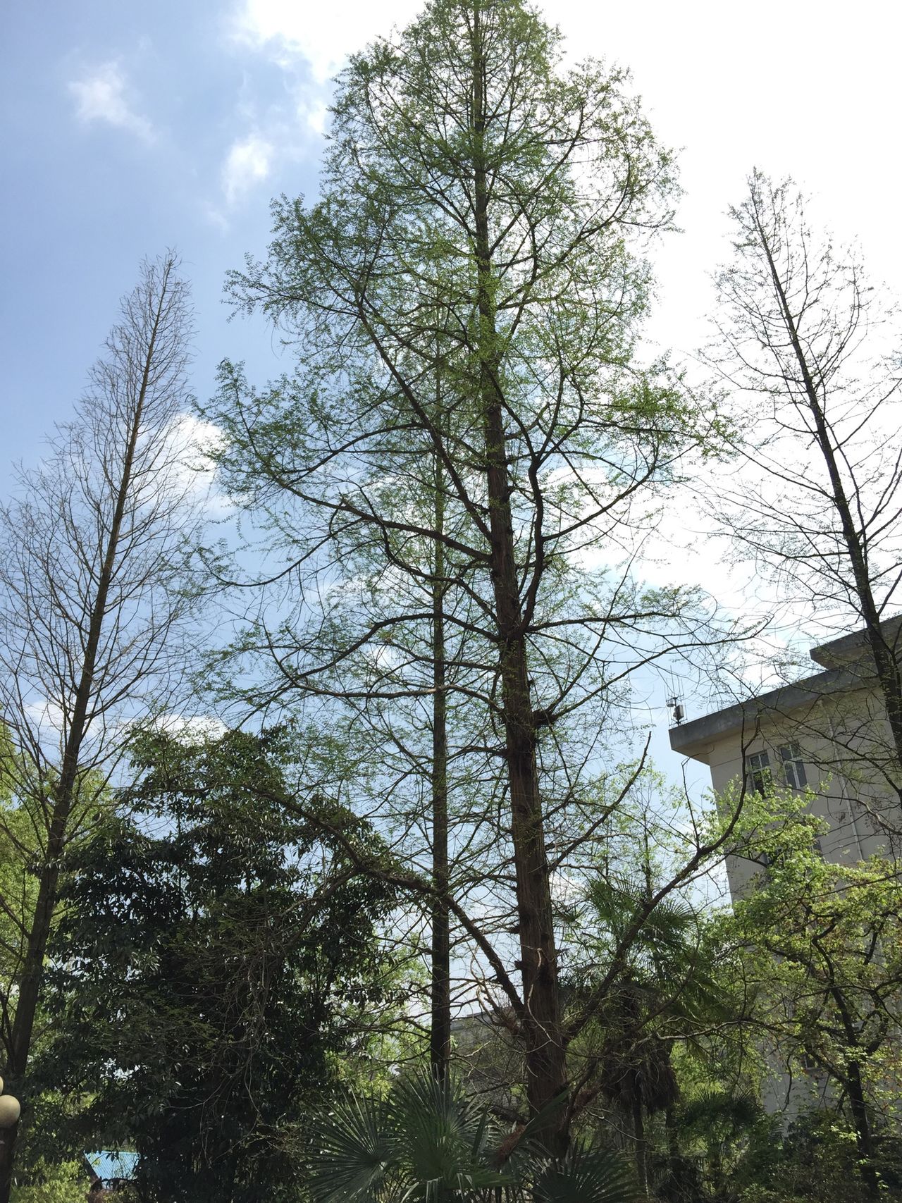 西南大学－工程技术学院