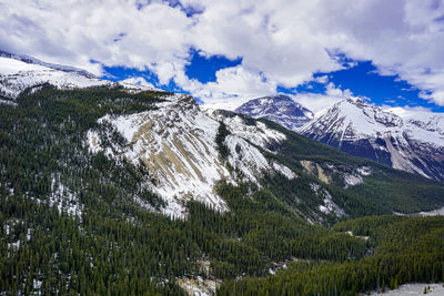 Snowcapped forested canadian rockies mountain on a summer day with bright blue sky and white clouds