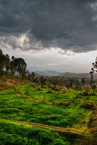 Scenic view of landscape against sky