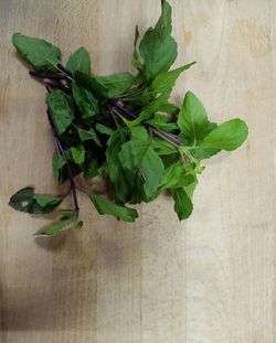 Directly above shot of green leaves on table