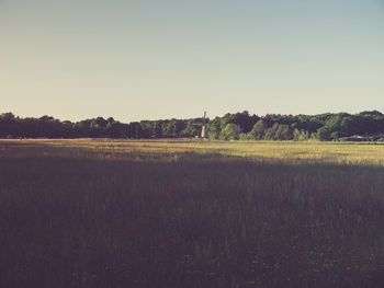 Scenic view of field against clear sky