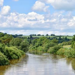 River amidst trees against sky