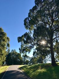 Road amidst trees against sky