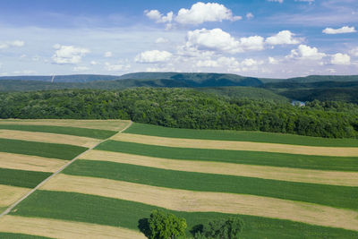 Pa farmalnd harvasted in stripe pattern aerial