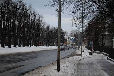Snow covered trees in city