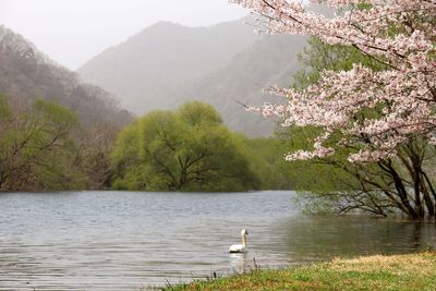 Scenic view of lake and mountains