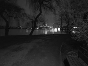 Illuminated bare trees by river during winter at night