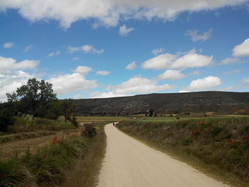 Road passing through field