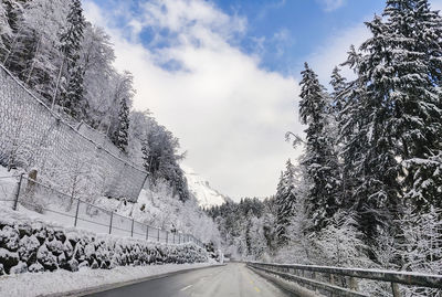 Road amidst trees against sky during winter