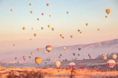 Hot air balloons flying in sky