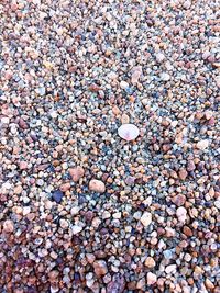 Full frame shot of pebbles on beach