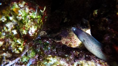 Close-up of young woman on tree trunk