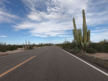 Panoramic view of road amidst bare trees against sky