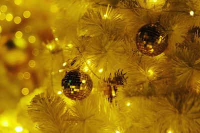 Illuminated christmas tree at night