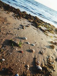 Close-up of shore at beach