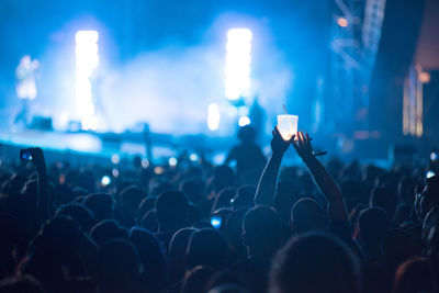 Crowd at music concert