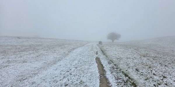 snow