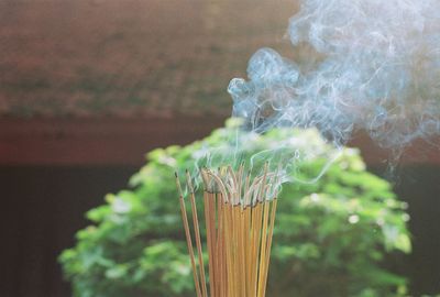 Close-up of burning incenses