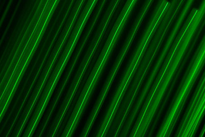 Full frame shot of palm leaf