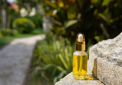 Serum in glass bottle on nature background. aromatherapy oil 