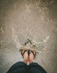 Low section of person standing by water