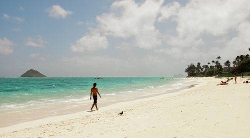Rear view of man on beach against sky