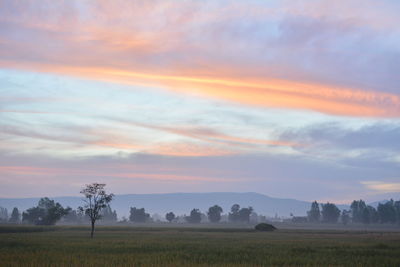 Scenic view of landscape against sky during sunset
