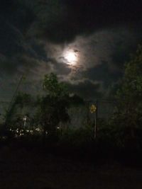 Low angle view of silhouette trees against sky at night