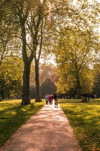 People walking on footpath in park