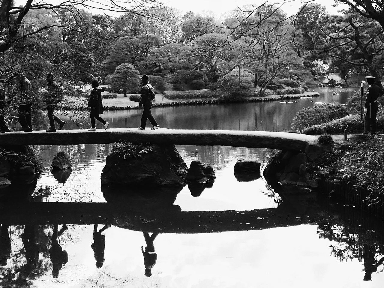 water, tree, reflection, lake, pond, puddle, branch, nature, river, silhouette, standing water, day, bare tree, outdoors, tranquility, waterfront, growth, lifestyles