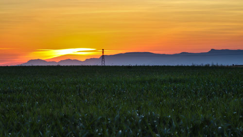 Scenic view of field against orange sky