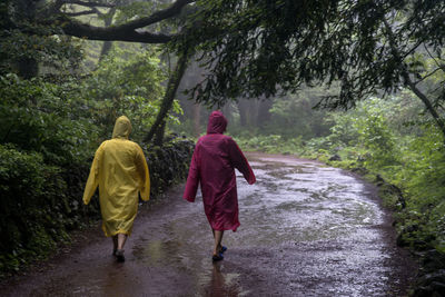 Rear view of friends wearing raincoat walking at bijarim forest during rainy season