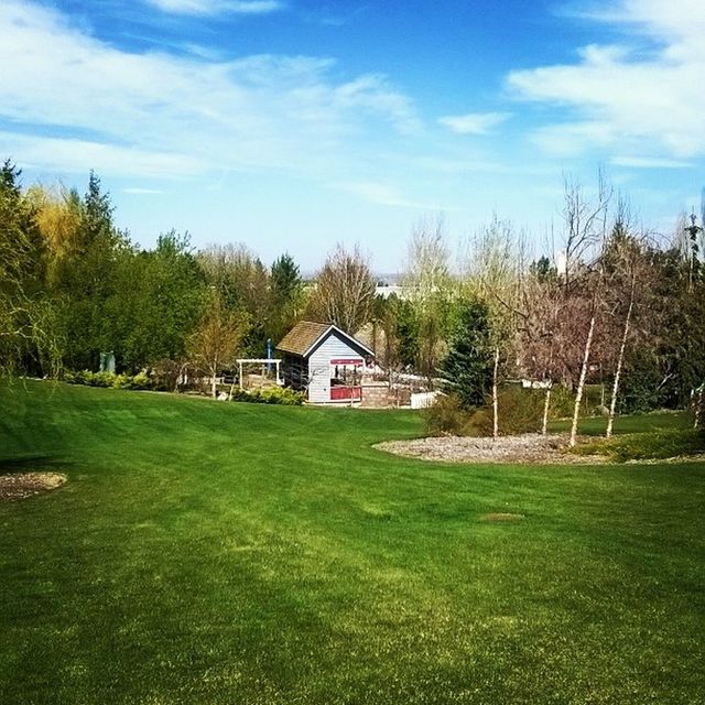 building exterior, architecture, built structure, grass, sky, house, tree, field, green color, cloud - sky, grassy, landscape, cloud, tranquil scene, growth, tranquility, nature, residential structure, rural scene, beauty in nature