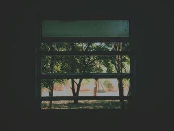 window